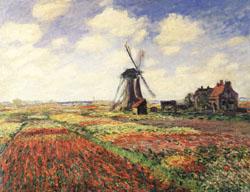 Claude Monet Tulip Fields in Holland oil painting picture
